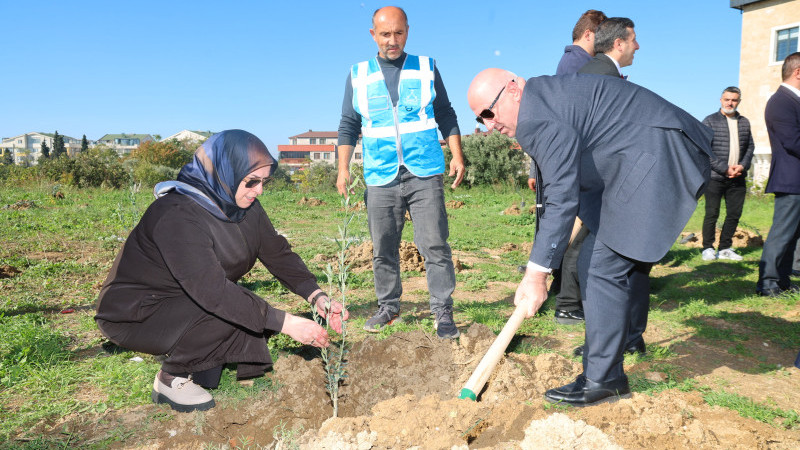 Zeytin Festivali’nde zeytin fidanları toprakla buluştu