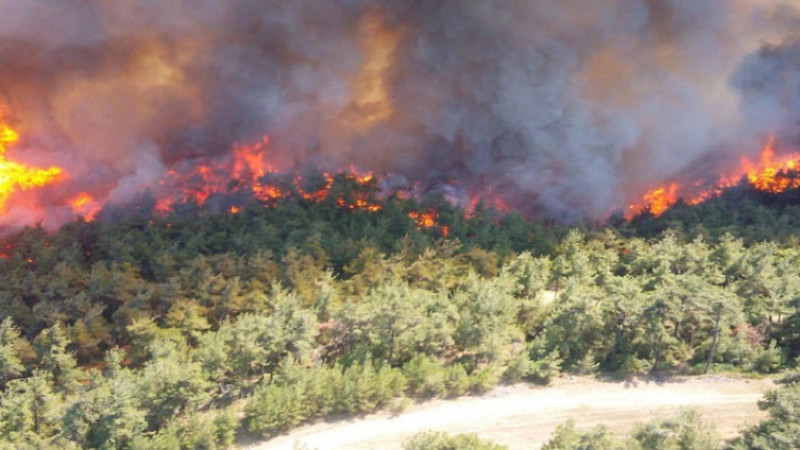 Kocaeli İtfaiyesi Orman Yangınlarına Karşı Uyardı