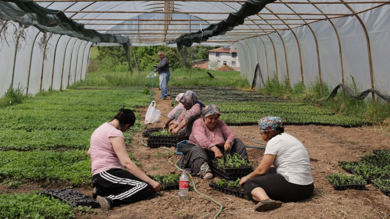 Büyükşehir’den yüzde 75 hibeli tarım desteği