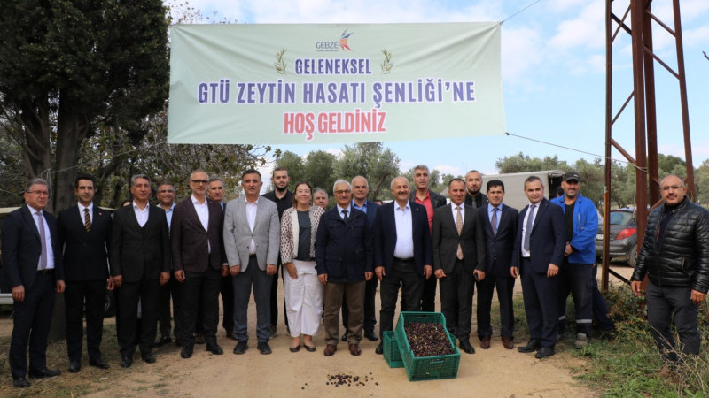 GTÜ’de 4. Geleneksel Zeytin Hasadı Şenliği Gerçekleştirildi