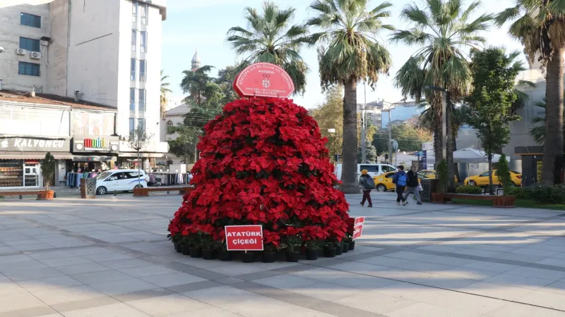 Kocaeli 'Atatürk Çiçeği' ile süsleniyor