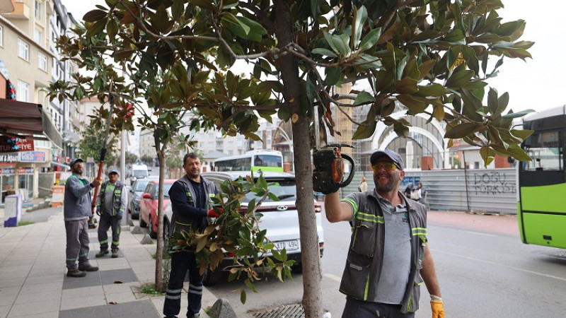 Çayırova’da mevsimlik budama çalışmaları başladı