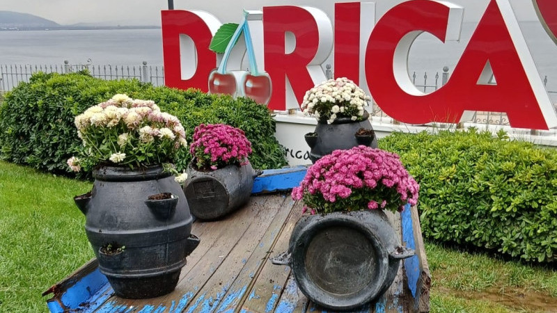 Darıca’da yeşil alanlar mevsimlik çiçeklerle renkleniyor